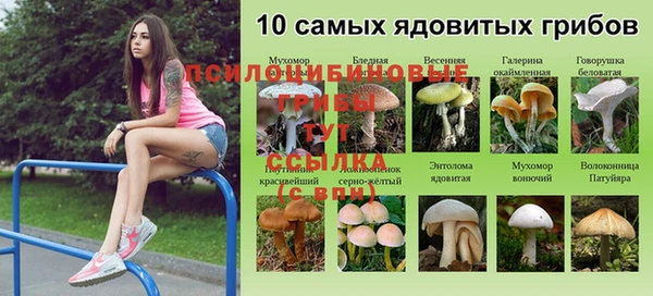 бутик Аркадак