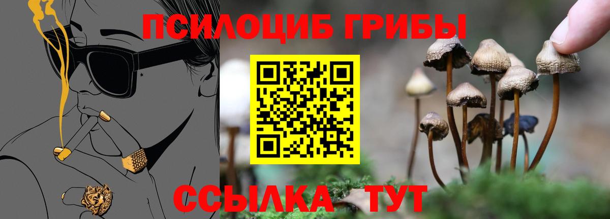 Псилоцибиновые грибы MAGIC MUSHROOMS  Галлюциногенные грибы Psilocybe  Белово  Вход с VPN 